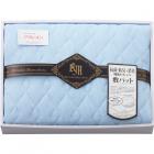 リビエラマルセリーノ 抗菌・防臭+消臭わた使用 吸水速乾 敷きパット ブルー RM93040BL